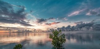 Ile jest gwarancji na narożnik Agata Meble?
