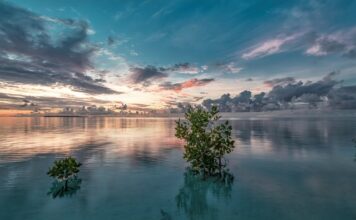 Ile jest gwarancji na narożnik Agata Meble? Ile jest gwarancji na narożnik Agata Meble?