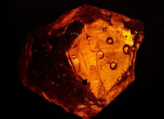 Do jakiego znaku zodiaku pasuje bursztyn?