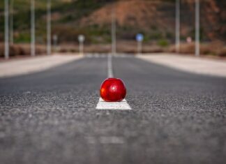 Jakie są nietypowe zawody?