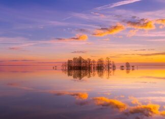 Czy Karola to Karolina?