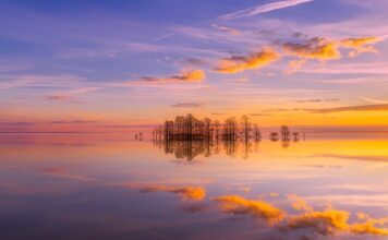 Czy Karola to Karolina?