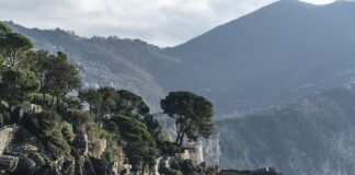 Ile kosztuje Agat?