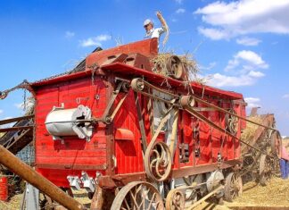 Czy warto mieć kilka zawodów?