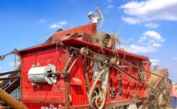 Jakich zawodów nie ma w Polsce?