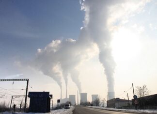 Jakie branże będą się rozwijać 2023?