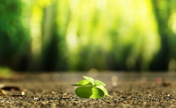 Co zrobić żeby znaleźć pracę? Co zrobić żeby znaleźć pracę?