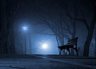 Czy mają to polskie imię?