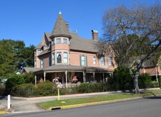 Co to znaczy Amelia po grecku?