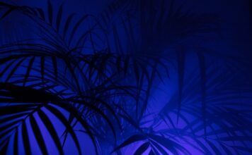 Co lepsze do wody PP czy PEX? Co lepsze do wody PP czy PEX?