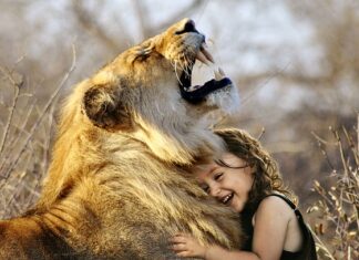 Jaka jest najlepsza marką samochodów na świecie? Jaka jest najlepsza marką samochodów na świecie?