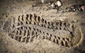 Ile kosztuje ocena ryzyka?