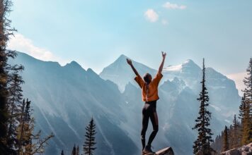 Jaki program z momentami dokręcania śrub?