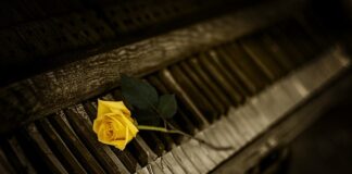 Jaki zestaw kluczy do warsztatu?