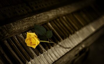 Jaki zestaw kluczy do warsztatu?