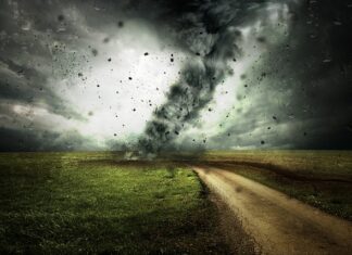 Ile kosztuje zmiana z anglika?