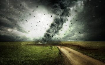 Ile kosztuje zmiana z anglika?