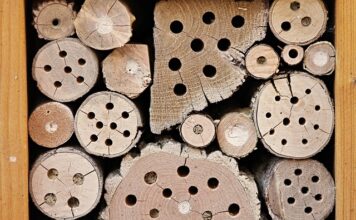 Ile kosztuje zimowanie motorówki? Ile kosztuje zimowanie motorówki?