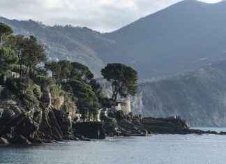 Ile kosztuje nabicie i odgrzybianie klimatyzacji? Ile kosztuje nabicie i odgrzybianie klimatyzacji?